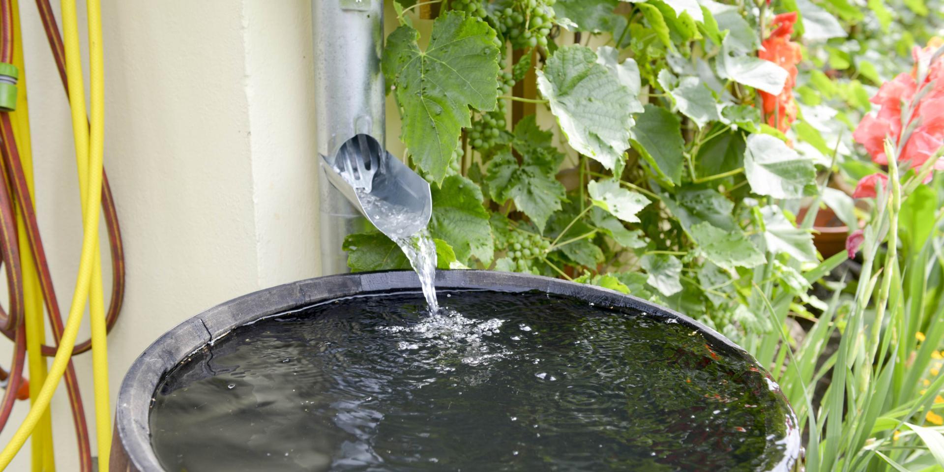 Hogere subsidie voor afkoppelen regenwater